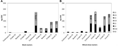 Screening of Phytophagous and Xylophagous Insects Guts Microbiota Abilities to Degrade Lignocellulose in Bioreactor